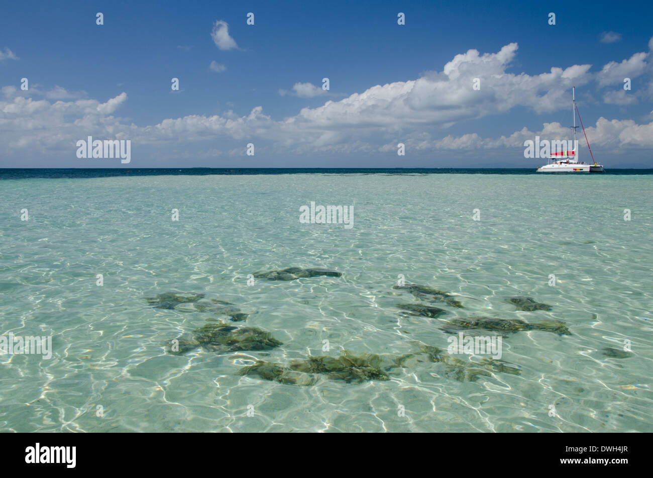 Belize, Stann Creek District. Süden Wasser Caye (UNESCO), 12 Hektar großen tropischen Insel in der Karibik. Stockfoto