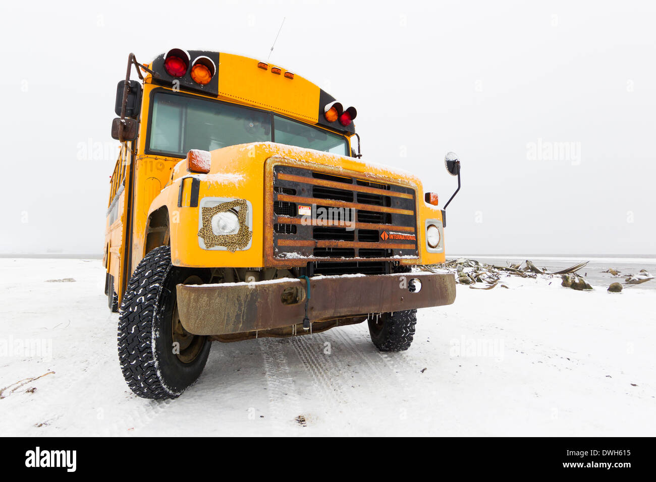 Schulbus durch Grönlandwal Knochen für die Eisbären-Anzeige bei Kaktovik, Alaska im Oktober geparkt. Stockfoto
