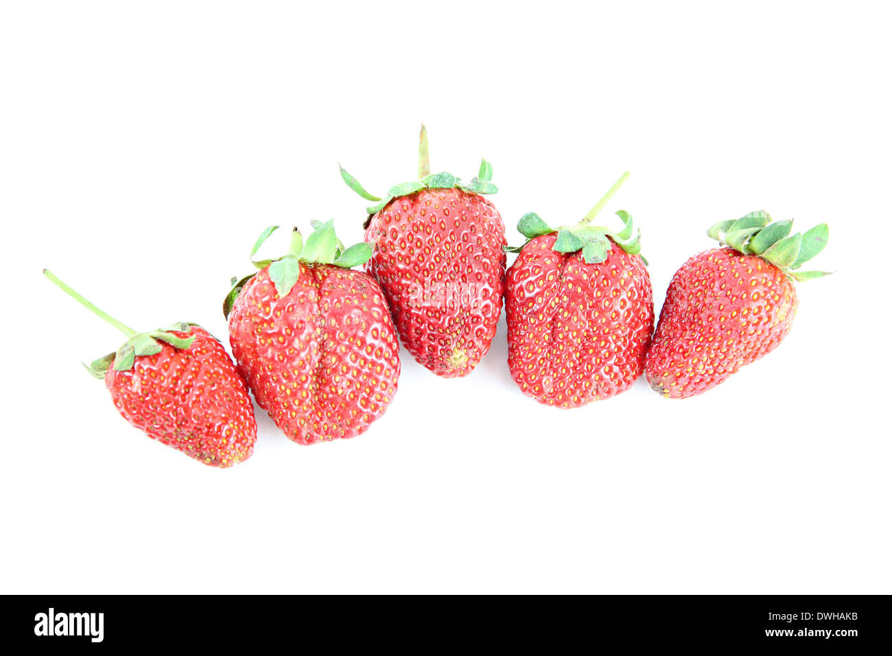 Fünf Erdbeere isoliert auf weißem Hintergrund. Stockfoto