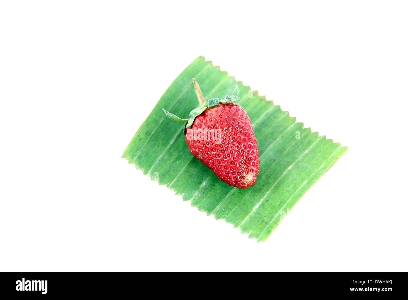 Erdbeere auf Bananenblatt der weißen Hintergrund isoliert. Stockfoto