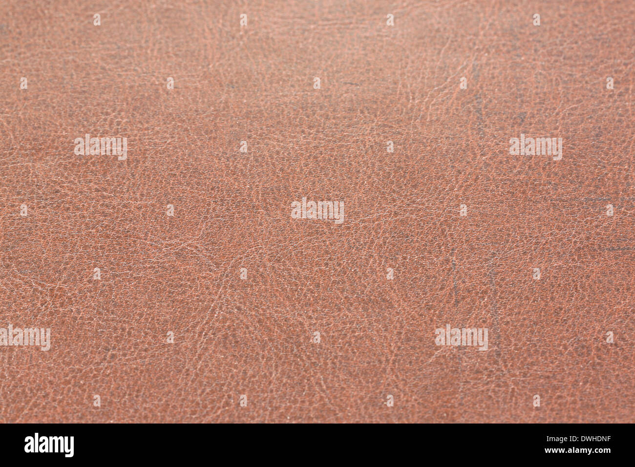Braun detaillierte Leder für den Hintergrund. Stockfoto