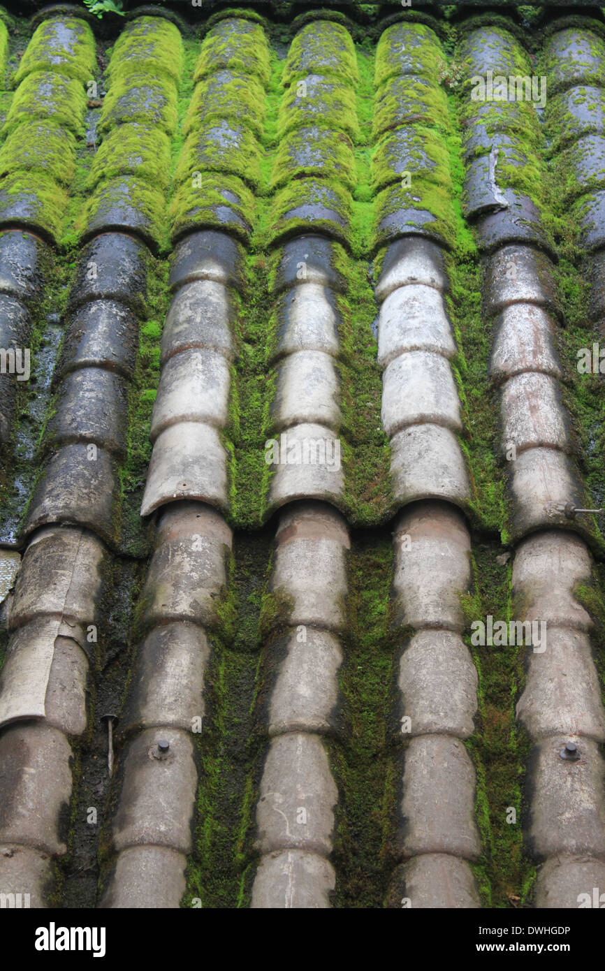 Detail Kachelofen der alten Dach mit grünem Moos Stockfoto