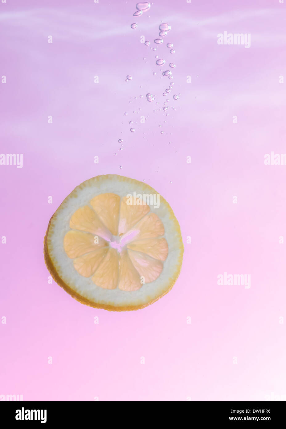 In Scheiben geschnittene Zitrone fallen durch das Wasser einem lila Hintergrund Stockfoto