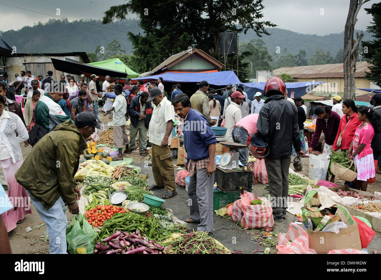 Arbeitsreiches Wochenende Obst- und Gemüsemarkt in Nuwara Eliya Stockfoto