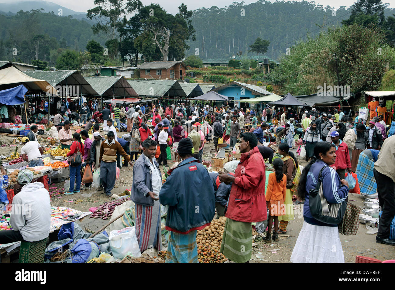 Arbeitsreiches Wochenende Obst- und Gemüsemarkt in Nuwara Eliya Stockfoto