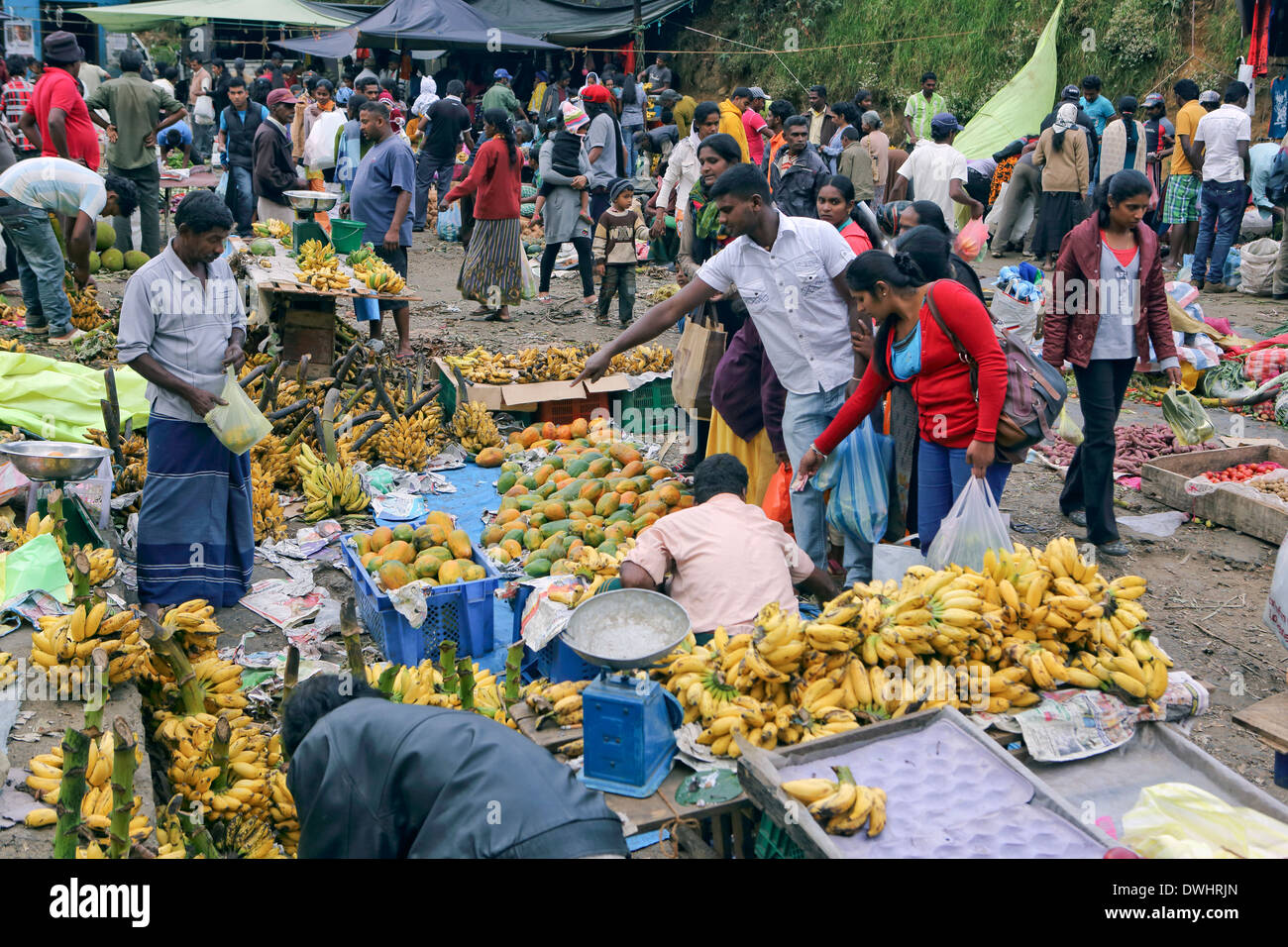 Arbeitsreiches Wochenende Obst- und Gemüsemarkt in Nuwara Eliya Stockfoto