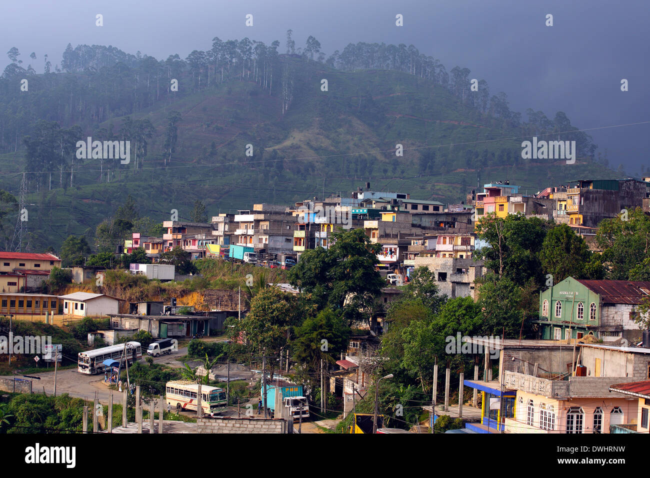 Maskeliya Township im zentralen Hochland Tee Anbaugebiet von Sri Lanka Stockfoto
