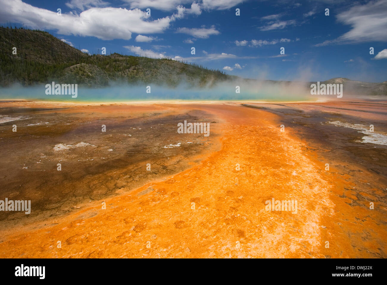 Grand prismatische Frühling im Midway Geyser Basin, Yellowstone-Nationalpark, Wyoming. Stockfoto