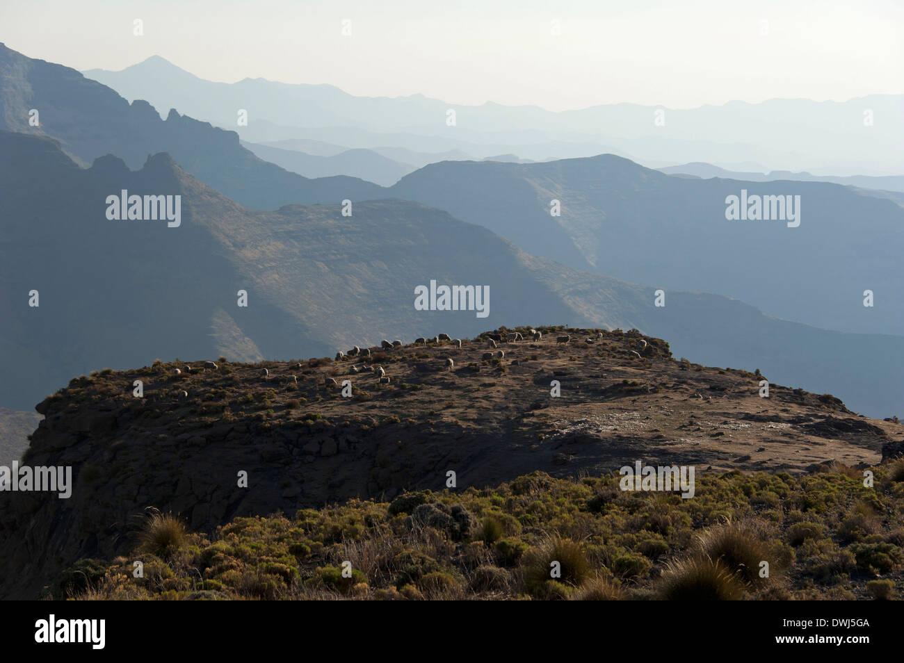 Maloti Mountains Stockfoto