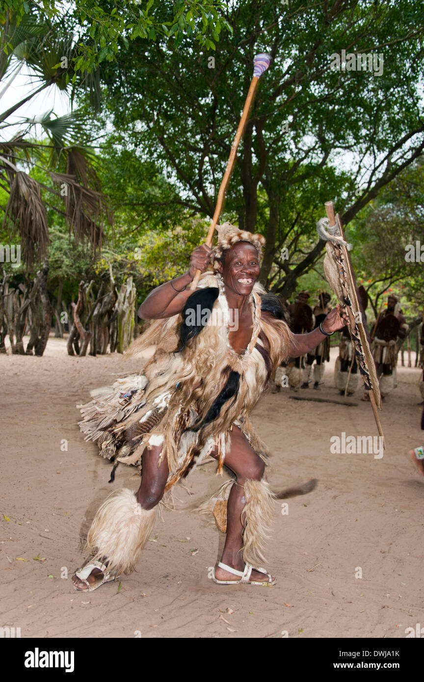 Traditioneller Tanz, Zulu-Dorf Stockfoto