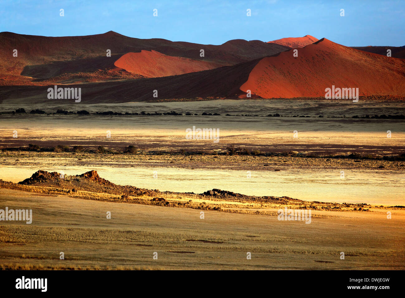 Am frühen Morgen Sonnenschein auf den Dünen im Sossusvlei in der Wüste Namib-Nuakluft in Namibia Stockfoto