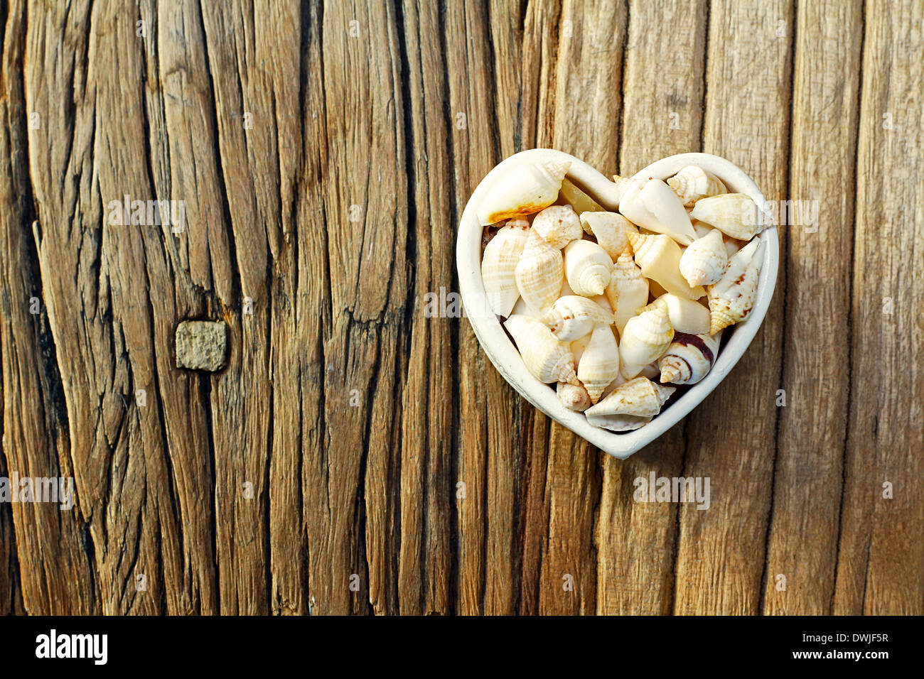 Summer Love mit Muscheln Stockfoto