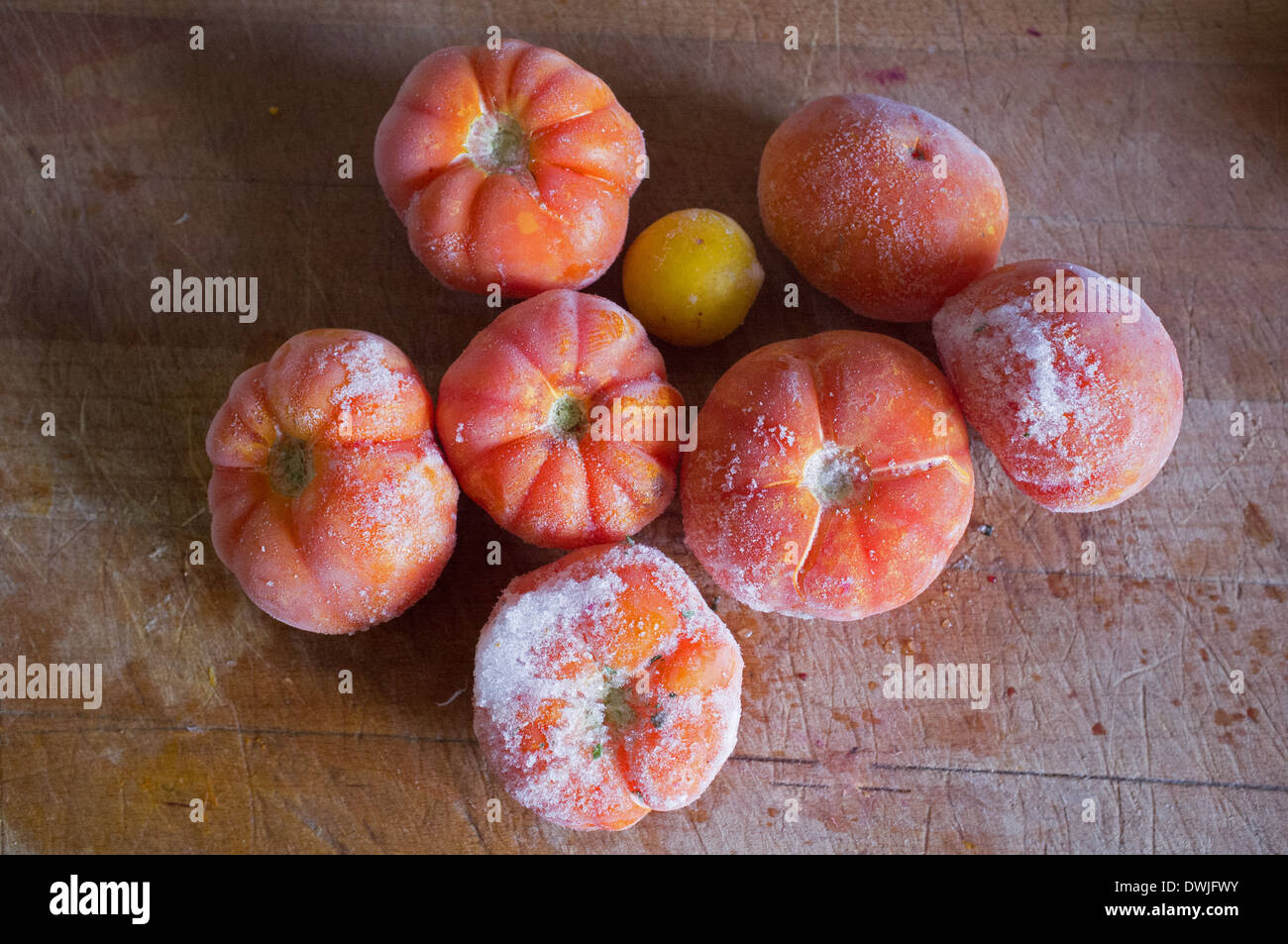 Nach Hause angebauten Tomaten, die auf einem Steckbrett eingefroren wurden Stockfoto