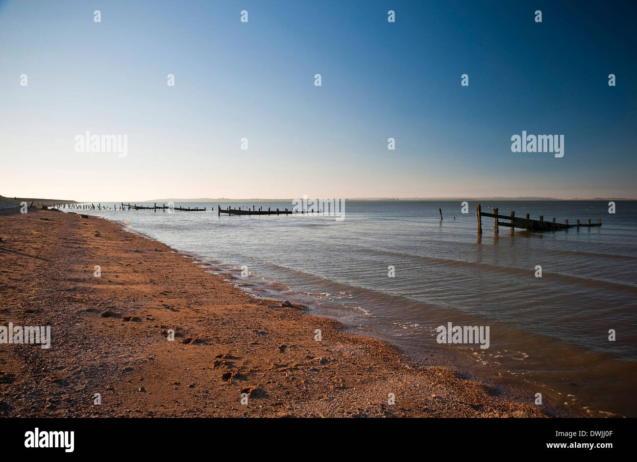 Alten Buhnen am Strand von Seasalter in der Nähe von Whitstable, Kent, UK Stockfoto