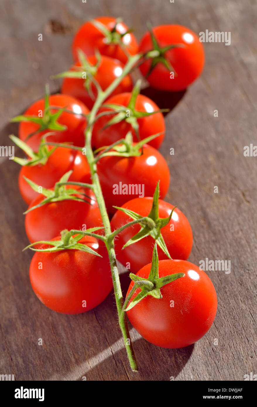 Zweig der Kirschtomaten isoliert auf Holztisch Stockfoto