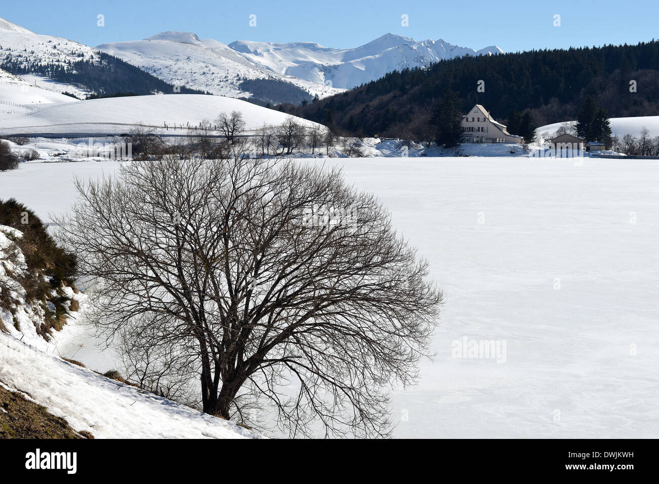 Guery See im Winter Puy de Dome Auvergne Zentralmassiv-Frankreich Stockfoto