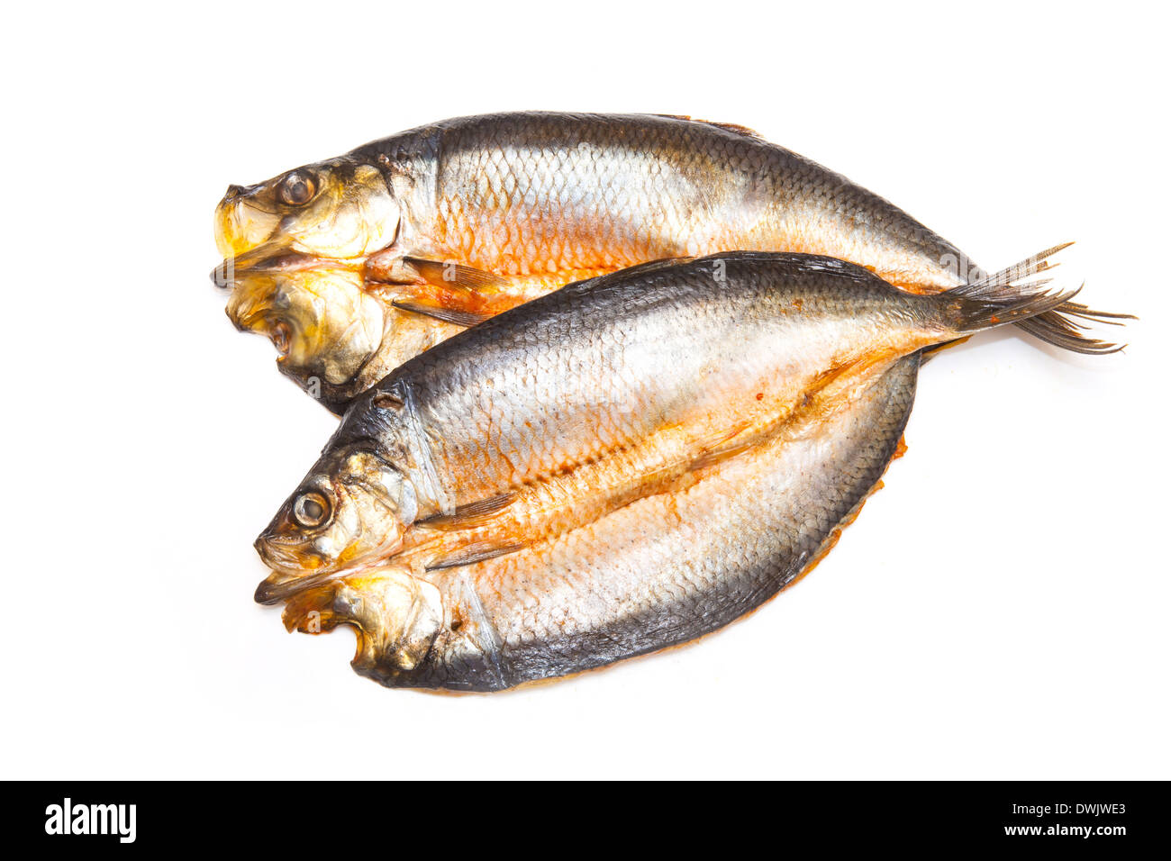 Gefärbte schottischer geräucherter Bückling isoliert auf einem weißen Studio-Hintergrund. Stockfoto