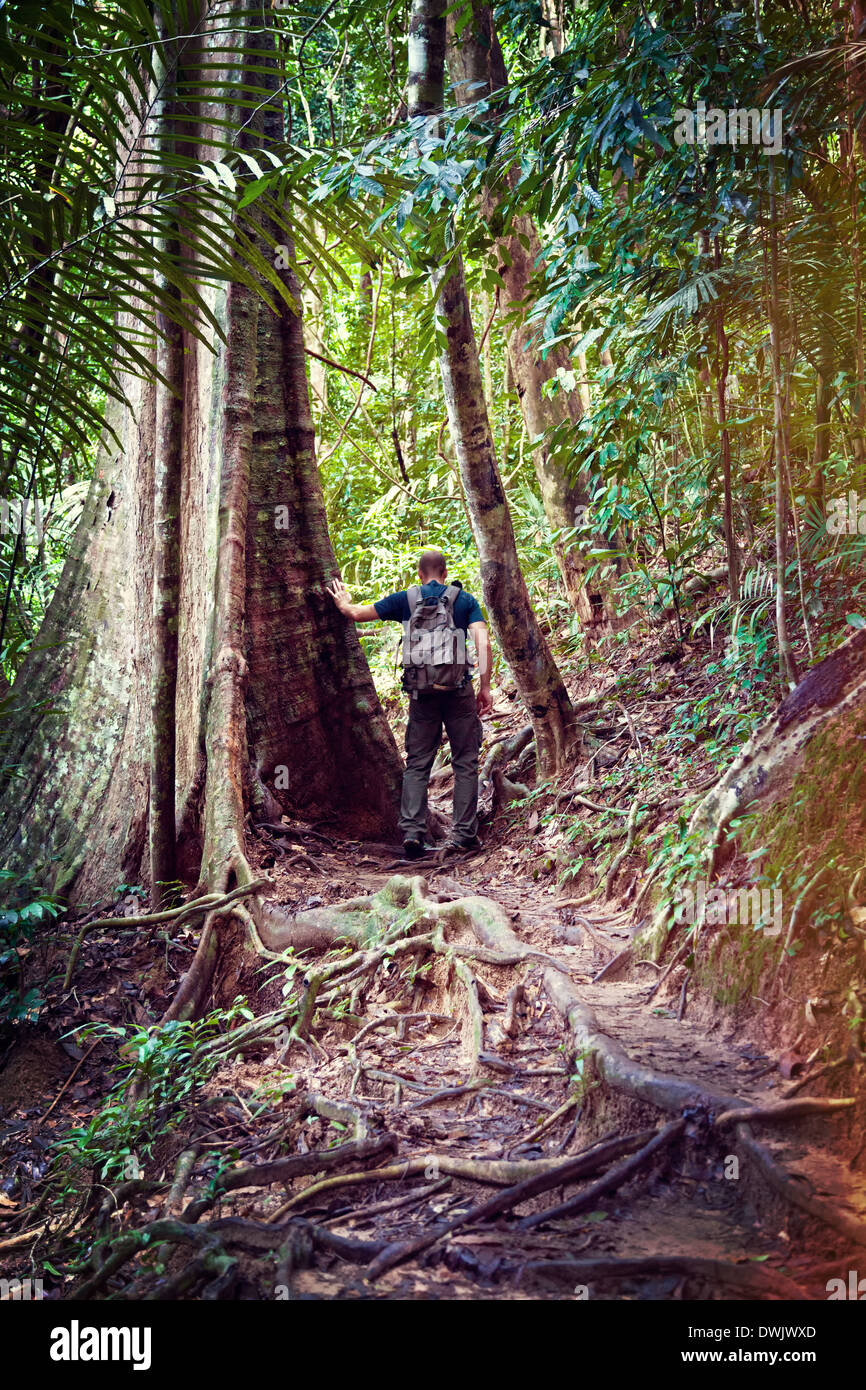 Mann in Taman Negara Wald borneo Stockfoto