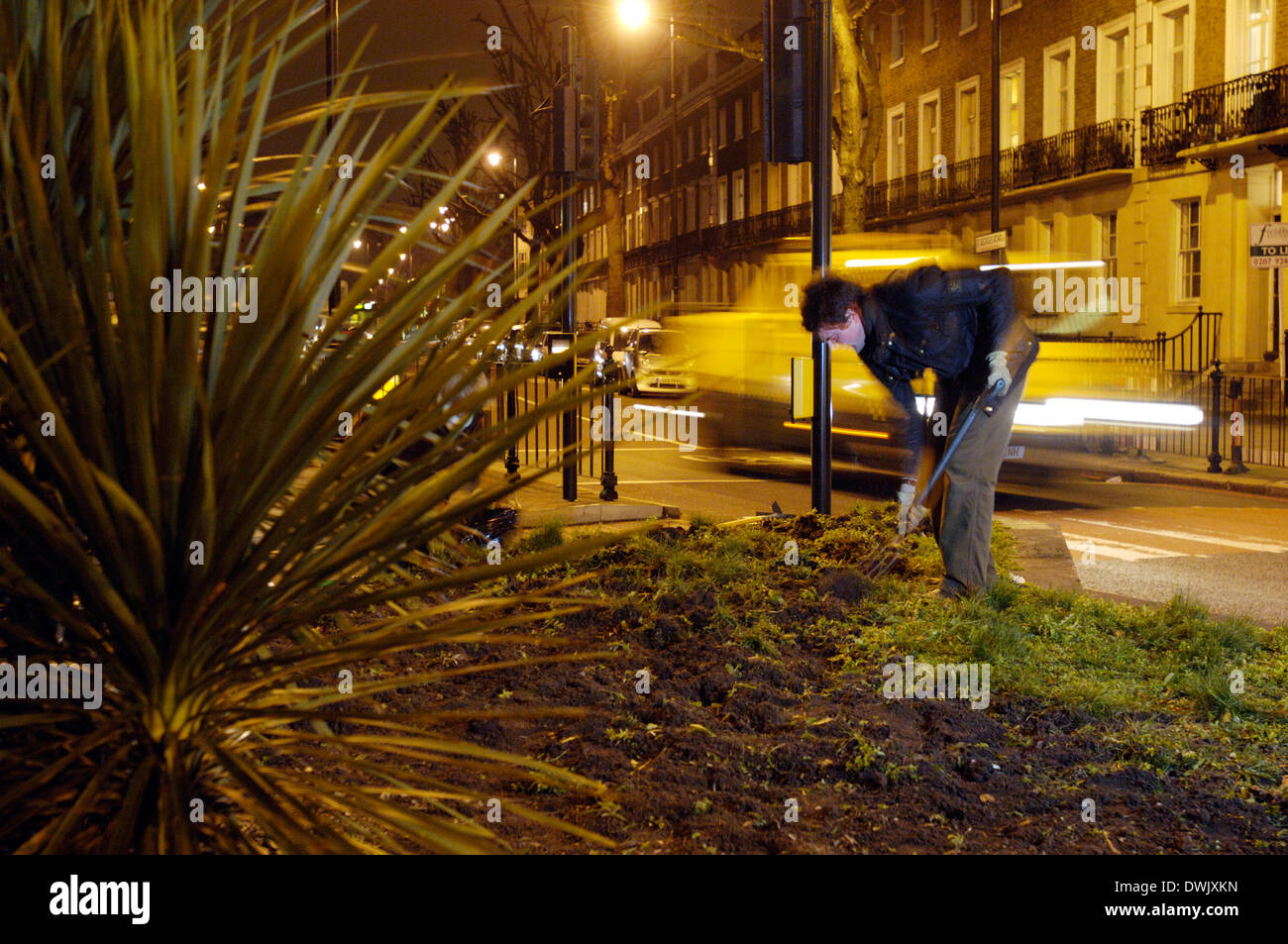 Mitglieder der Guerilla-gardening Organisation in Aktion Southwark London se1 Richard Reynolds [Gründer] 28, Anne Slater 60, Zoe 28 c Stockfoto