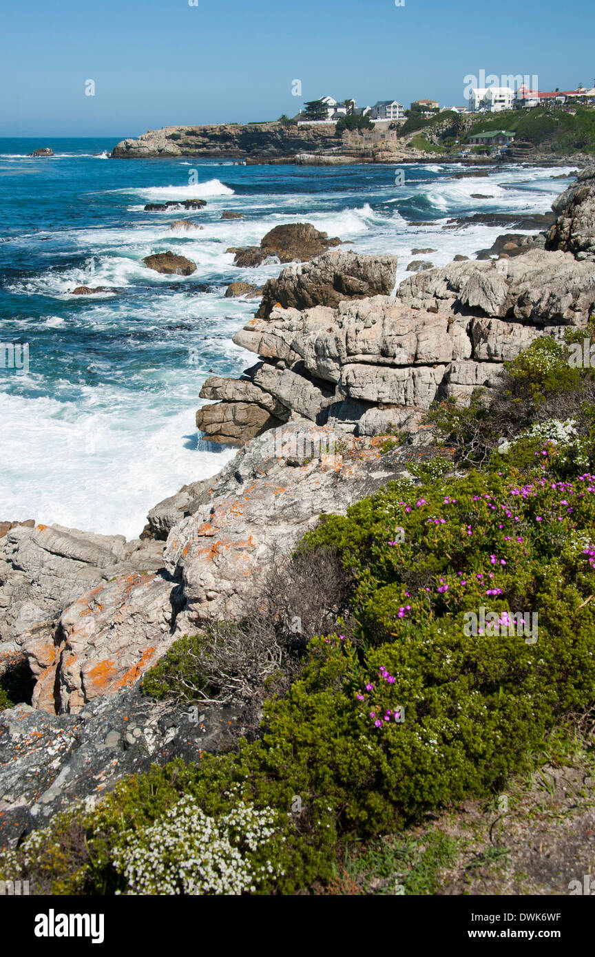 Küste, Hermanus Stockfoto