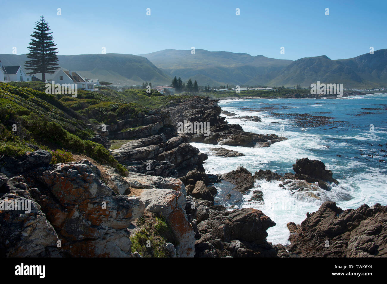 Küste, Hermanus Stockfoto