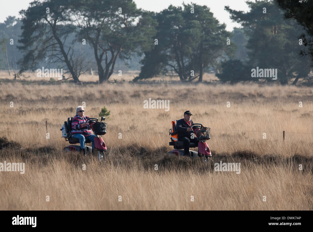 Paar Senioren auf einer Reise mit Scooter in der Natur (Strabrechtse Heide) in den Niederlanden Stockfoto