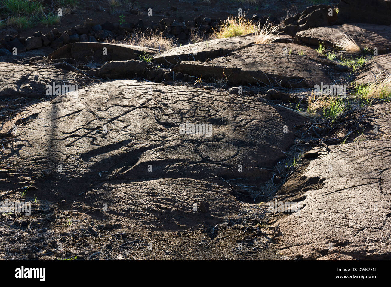 Puako Petroglyph archäologischen Park. Puako, Big Island, Hawaii, USA. Stockfoto