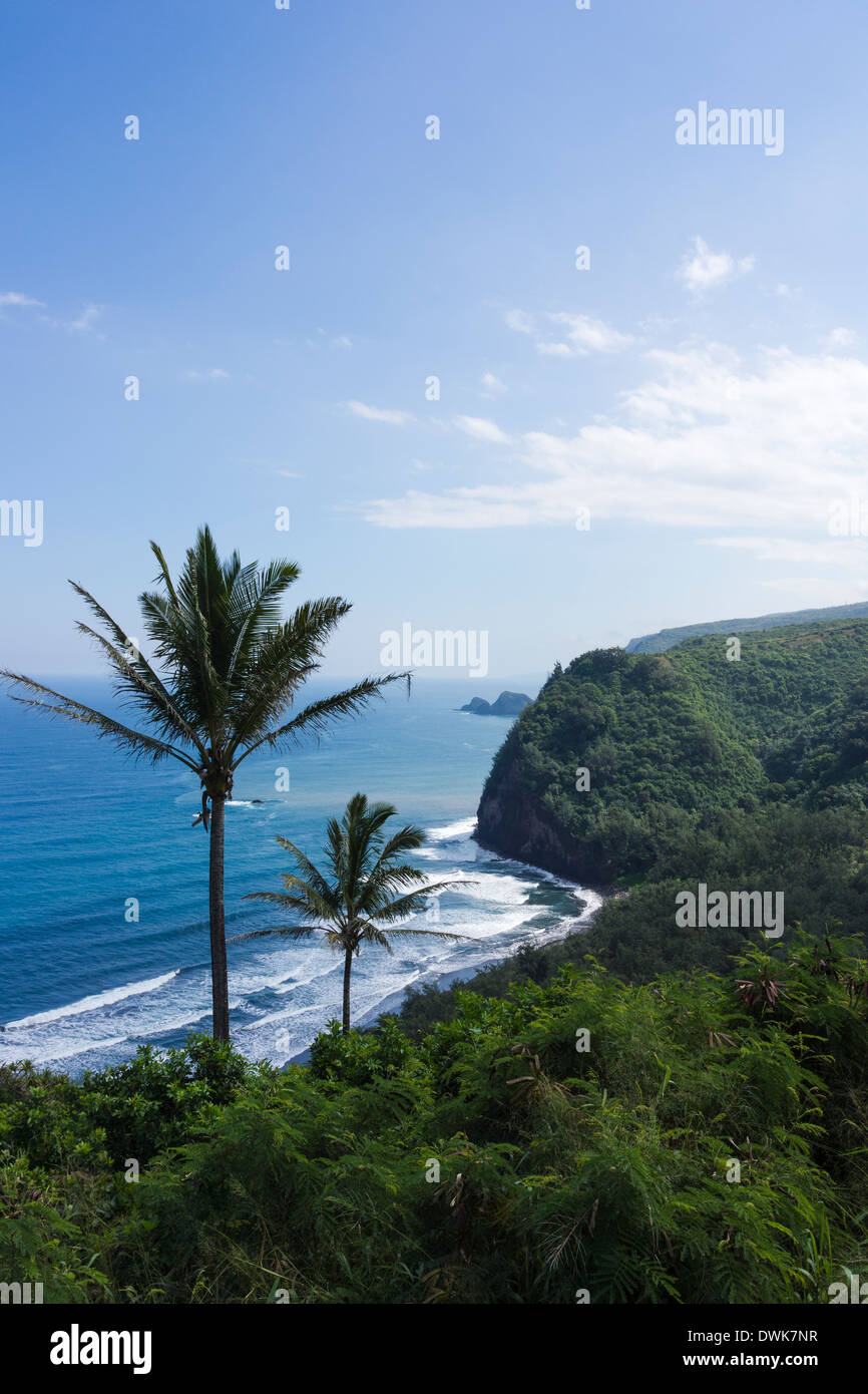Blick von Pololu Valley Lookout. Die Big Island, Hawaii, USA. Stockfoto