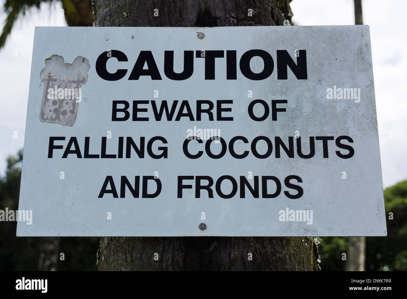 "Vorsicht Vorsicht bei fallenden Kokosnüssen und Wedel" zu unterzeichnen. Kapaau, Big Island, Hawaii, USA. Stockfoto