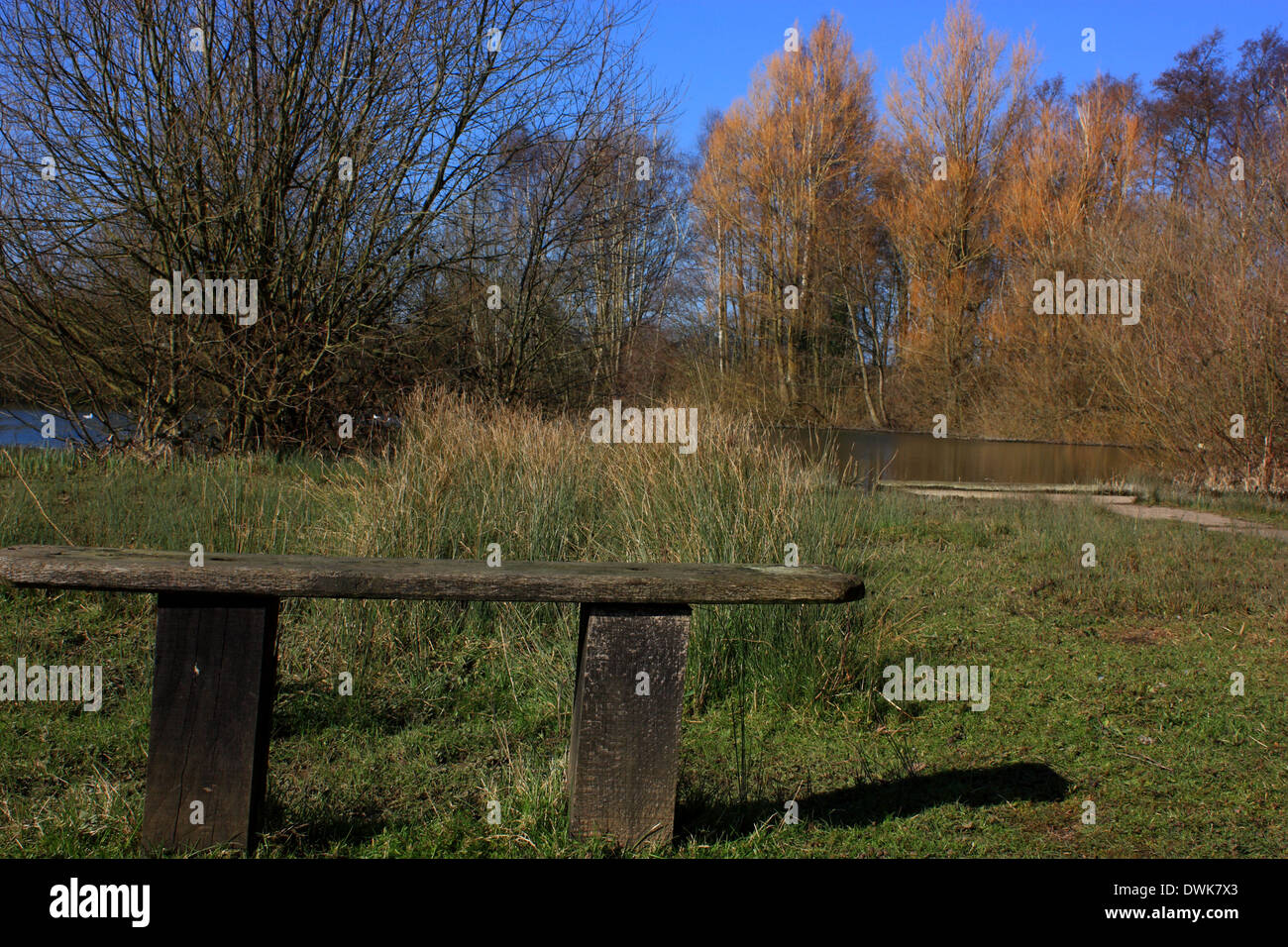 Eine Parkbank mit Blick auf einen See in Sevenoaks Landschaftspark Stockfoto