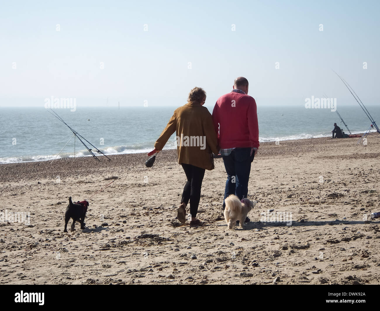 Ein älteres paar zu Fuß zwei Hunde auf Eastney Strand, Portsmouth, England Stockfoto