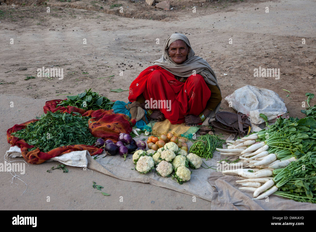 Bharatpur, Rajasthan, Indien. Alte Frau Verkauf von Gemüse am Straßenrand. Stockfoto