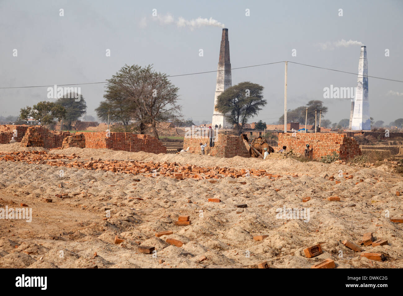 Rajasthan, Indien. Arbeitnehmer, die Ziegelsteine stapeln. Schornsteine für unterirdische Steinöfen im Hintergrund. Stockfoto