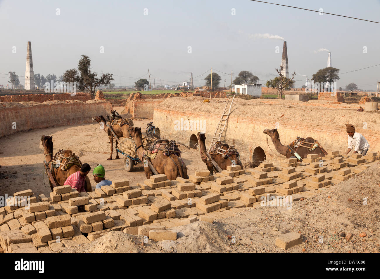 Rajasthan, Indien. Männer bauen die nächsten Ziegel brennen Ofen mit neuen ungebrannten Lehmziegeln auf Kamel gezogenen Wagen geliefert. Stockfoto