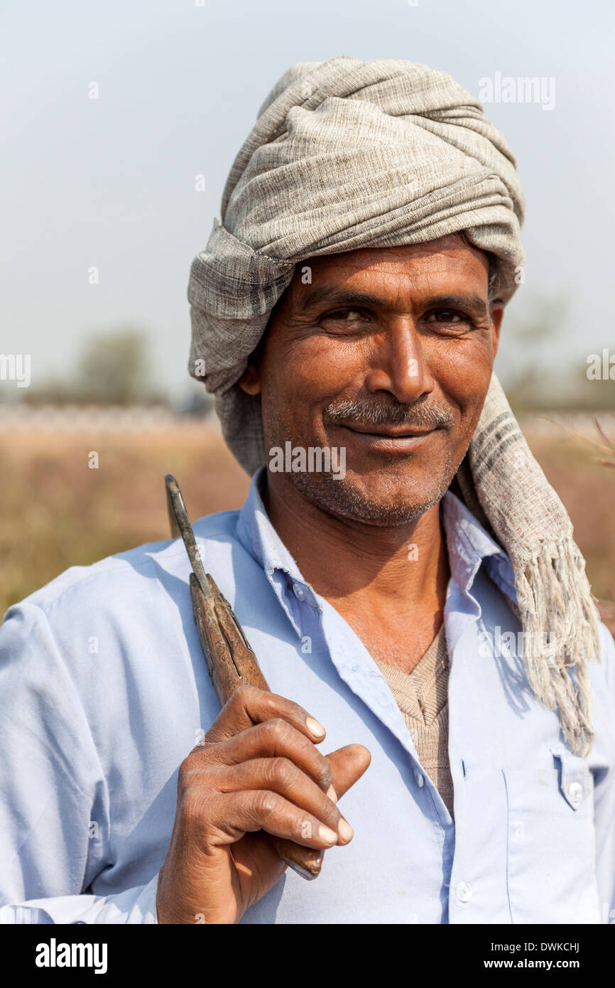 Rajasthan, Indien. Rajasthani Farmer mit Sichel auf seinem Gebiet Senf. Stockfoto