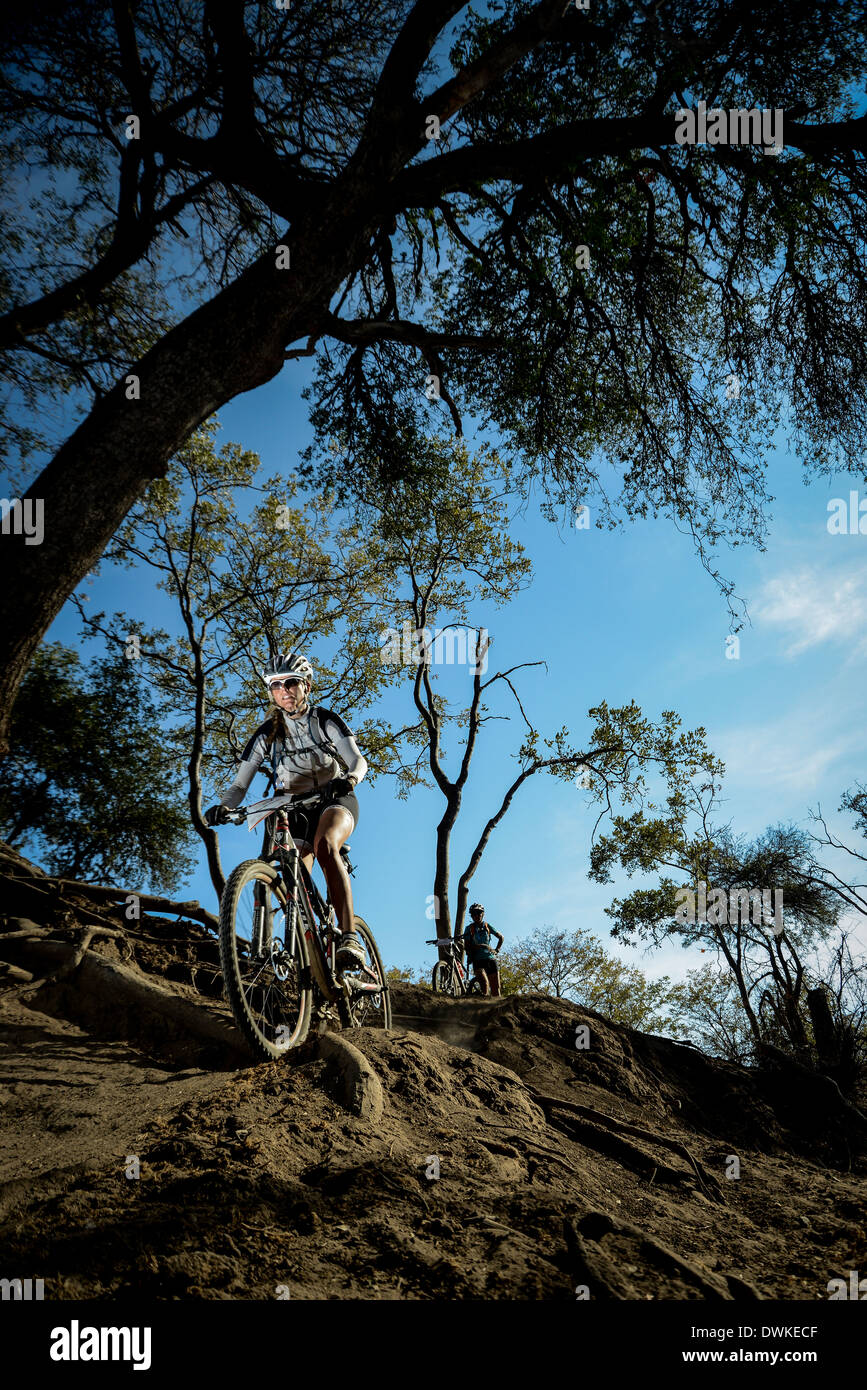 Mountainbiker beteiligen sich an der FEDHEALTH Tour de Tuli Fahrrad Bergetappe durch Botswana, Simbabwe und Südafrika, in der Nähe Stockfoto