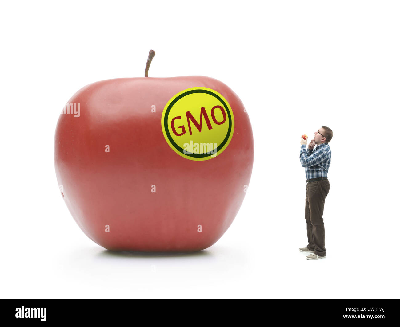 Mann mit natürlichen Bio-Apfel wird verwirrt beim stehen und mit Blick auf riesigen GVO geändert roter Apfel schoss auf weiß Stockfoto