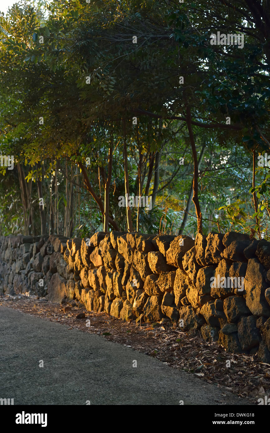 Traditionellen Stein-Grenze der Insel Jeju in Südkorea Stockfoto