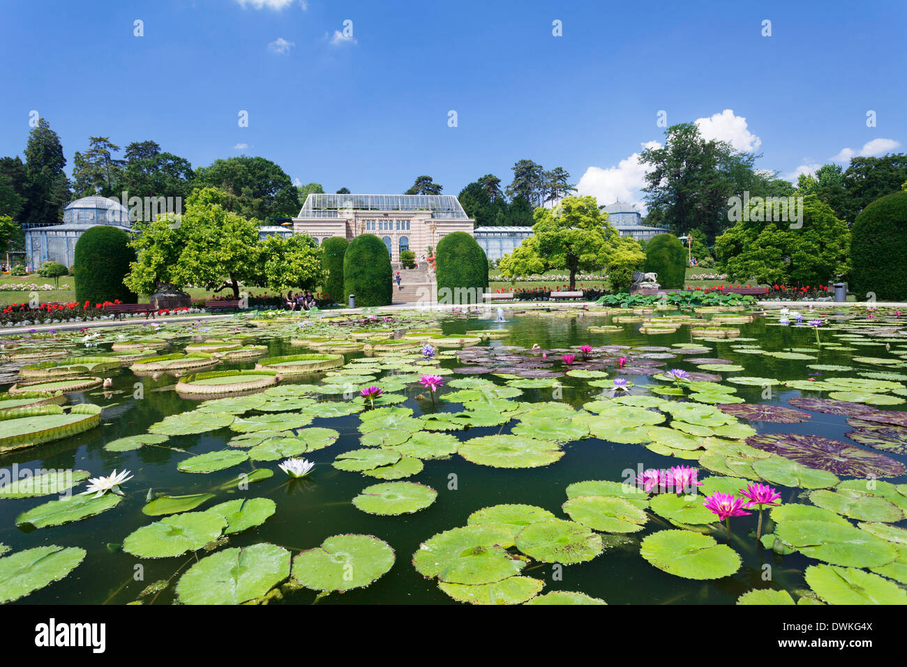 Maurische Garten mit Seerosen (Gattung Nymphaea), Wilhelma, Zoo und