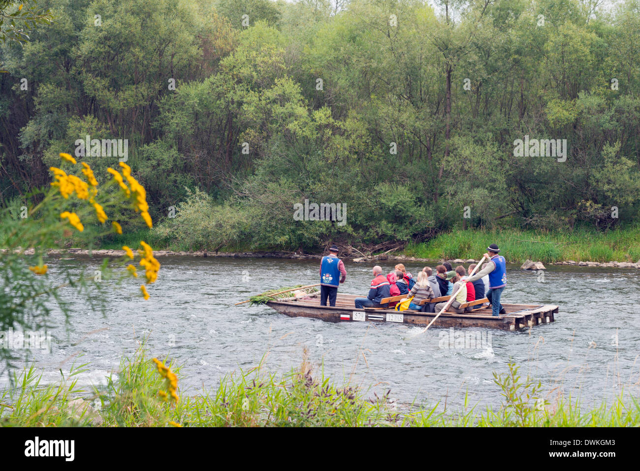 Rafting-Tour auf dem Fluss Dunajec, Dunajec-Schlucht, Polen, Europa Stockfoto