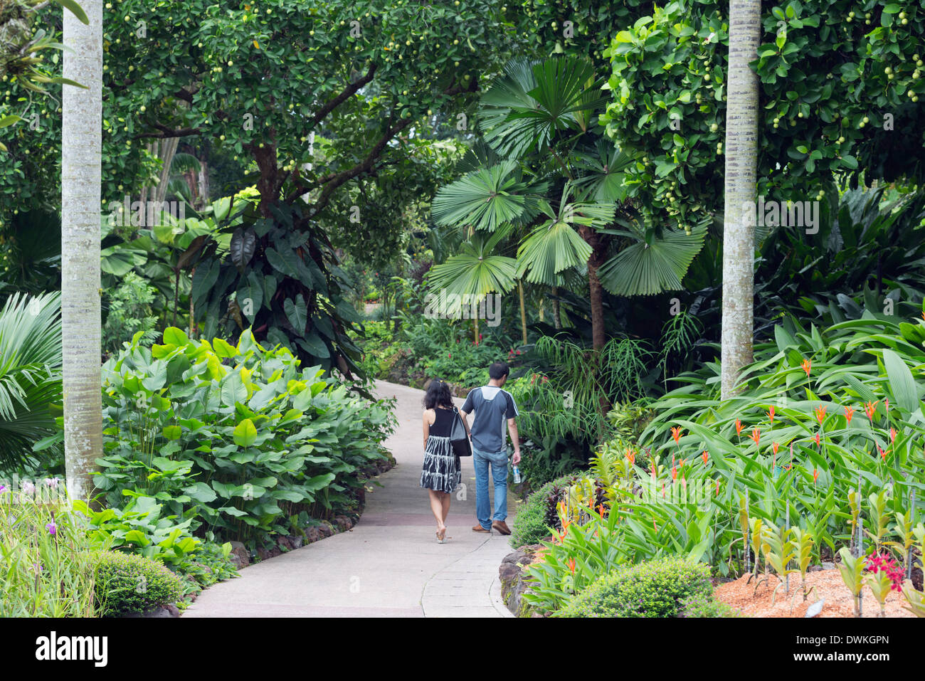 Menschen im botanischen garten von singapur Fotos und Bildmaterial in