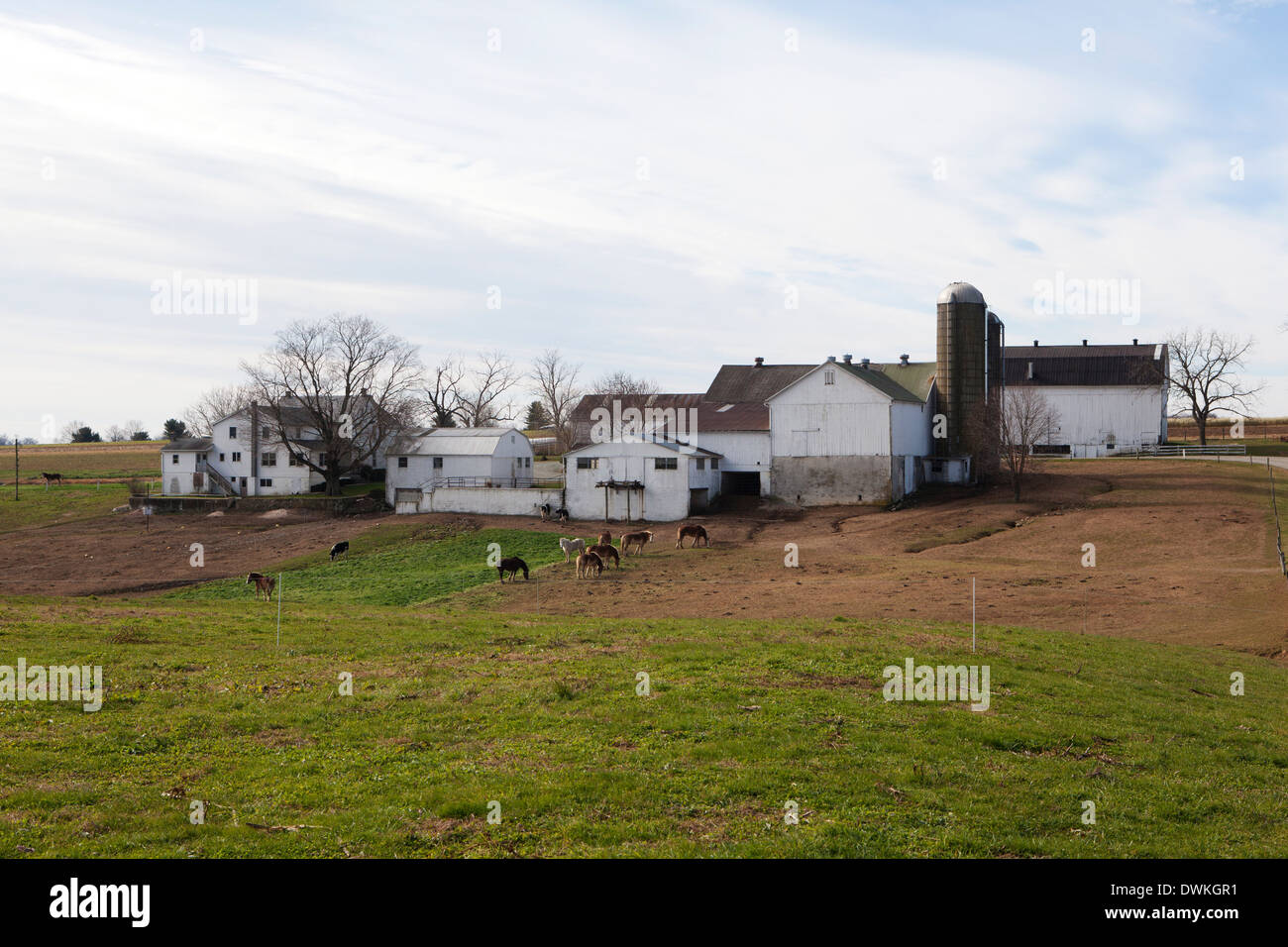 Eine amische Farm, Pennsylvania, Vereinigte Staaten von Amerika, Nordamerika Stockfoto