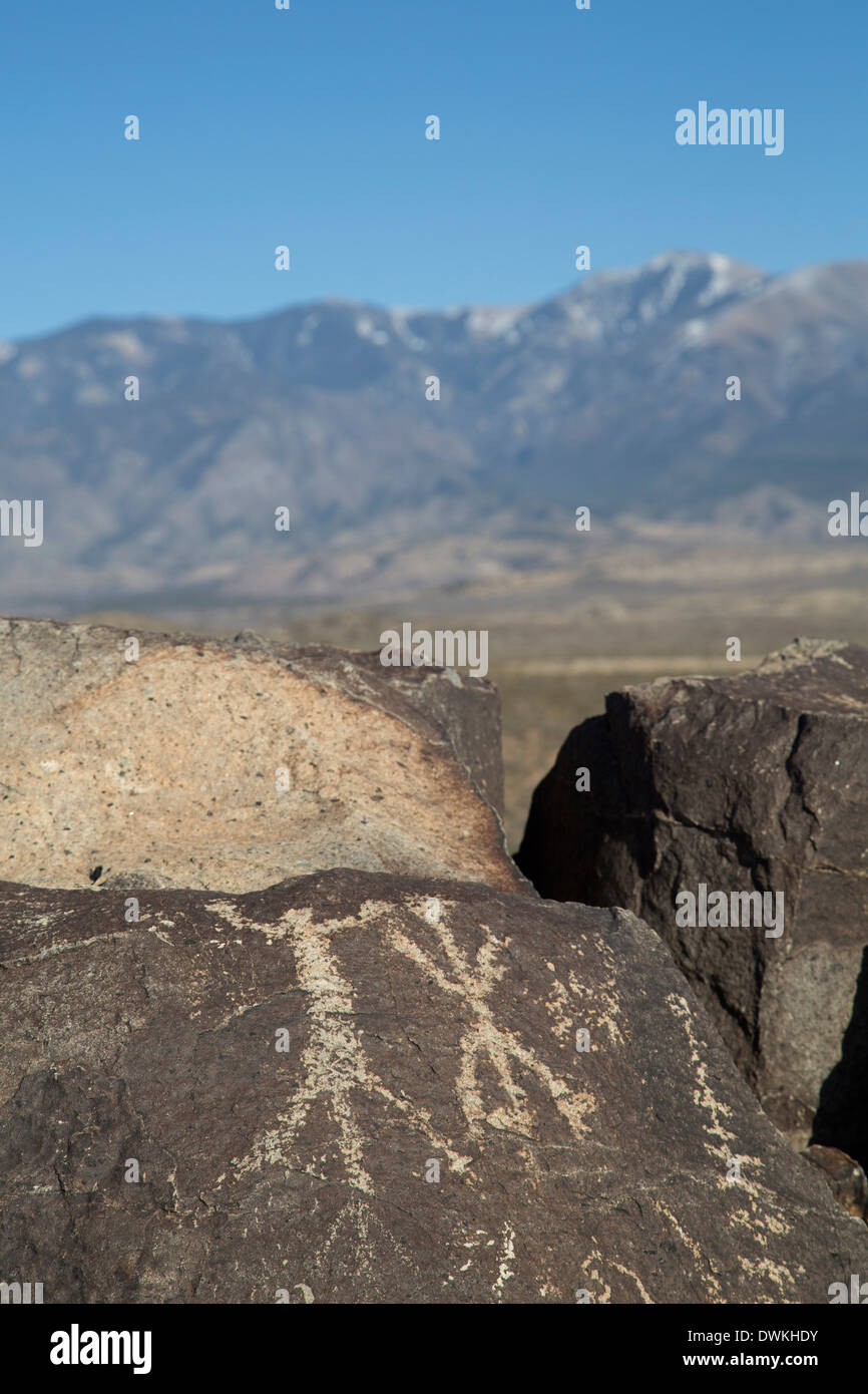 Präsidium der Bodenbewirtschaftung, drei Flüsse Petroglyph Site, Schnitzereien, erstellt von Jornada Mogollon Menschen, New Mexico Stockfoto