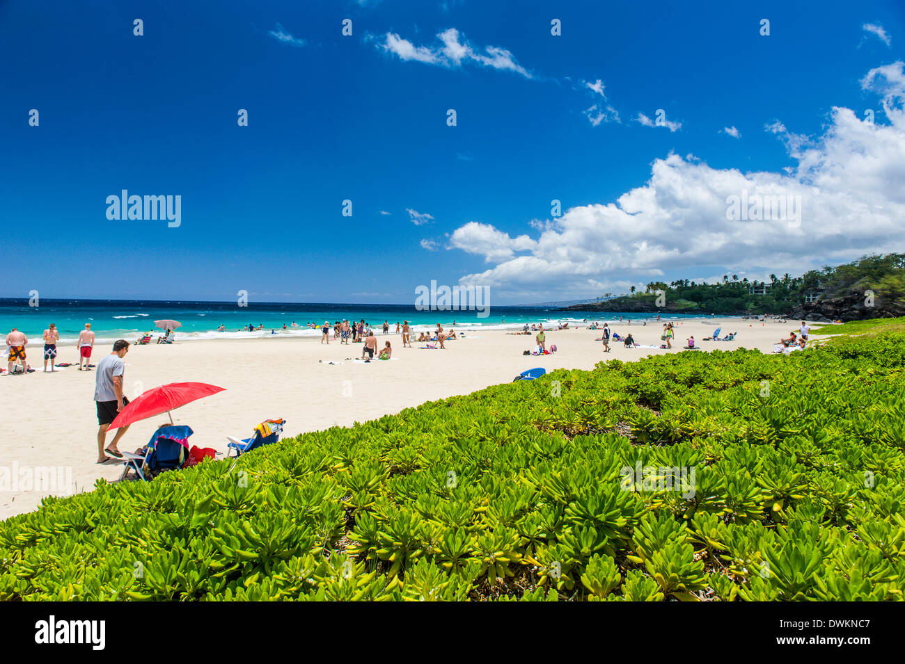 Hapuna Beach State Recreation Area, Big Island, Hawaii, Vereinigte Staaten von Amerika, Pazifik Stockfoto