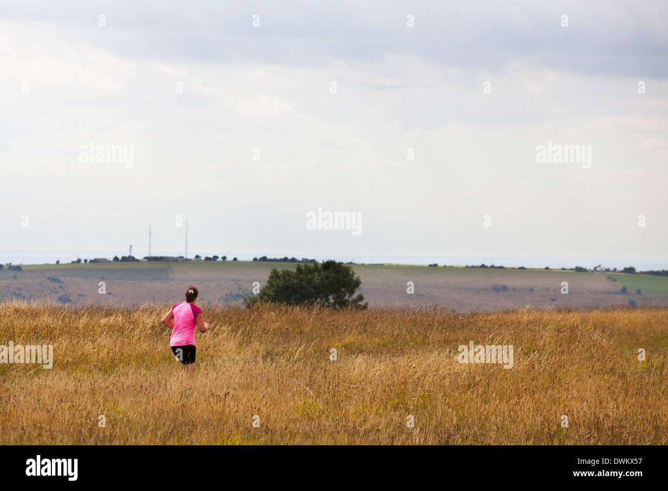 Frau Jogger in rosa Top läuft über den South Downs. Stockfoto