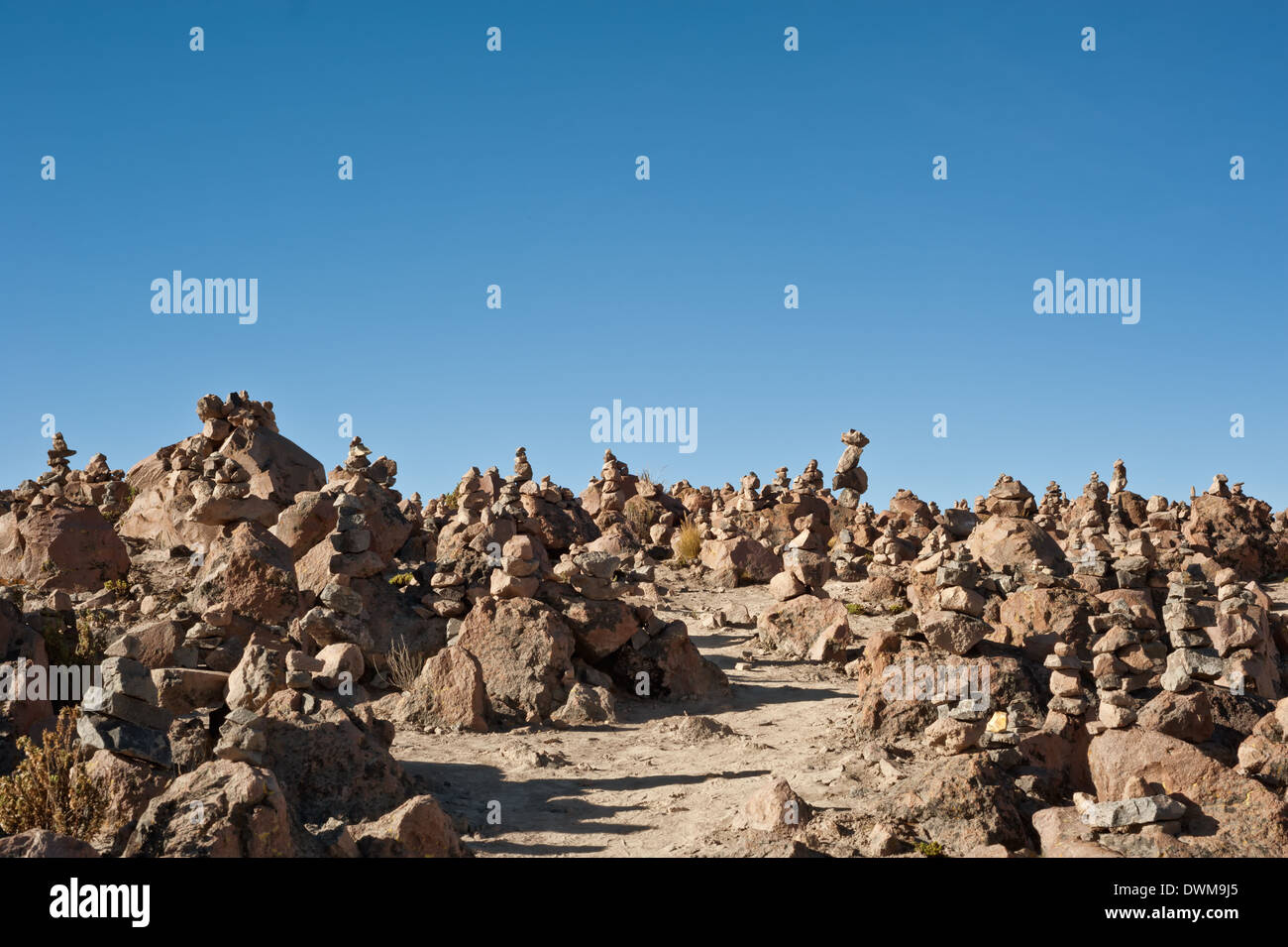 Arequipa, Chivay, Salinas und Aguada Blanca National Reservierung Stockfoto