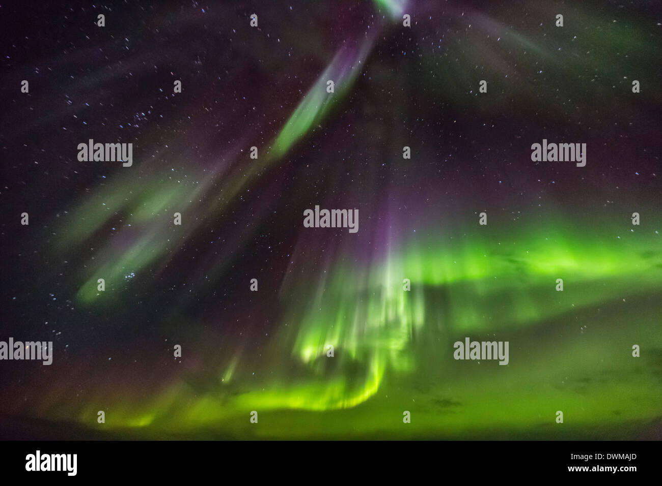 Aurora Borealis (Nordlicht) über dem Lindblad Expeditions-Schiff in der Hudson Strait, Nunavut, Kanada Stockfoto