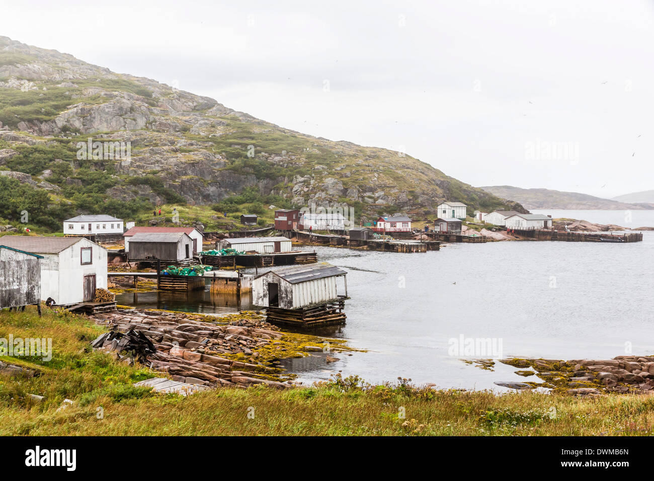 Das kleine Fischerdorf am Cape Charles, Labrador, Kanada, Nordamerika Stockfoto