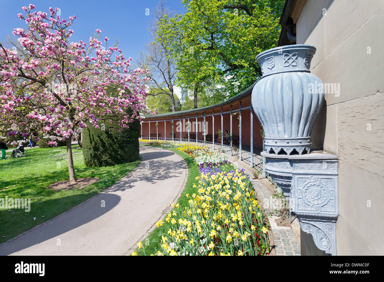 Magnolien blühen im Frühjahr, maurischen Garten, Wilhelma Zoo und botanische Gärten, Stuttgart, Baden-Württemberg, Deutschland, Europa Stockfoto