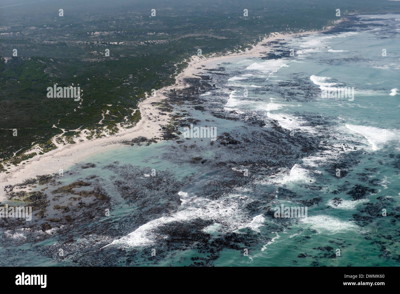 Luftaufnahmen von Ozean und Kelp Betten an der Walker Bay, in der Nähe von Hermanus, Western Cape, Südafrika, Afrika Stockfoto